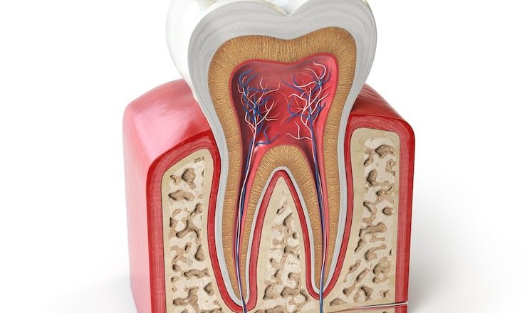 T’as une dent qui fait mal ? Voici tout ce que tu dois savoir pour t’en sortir !