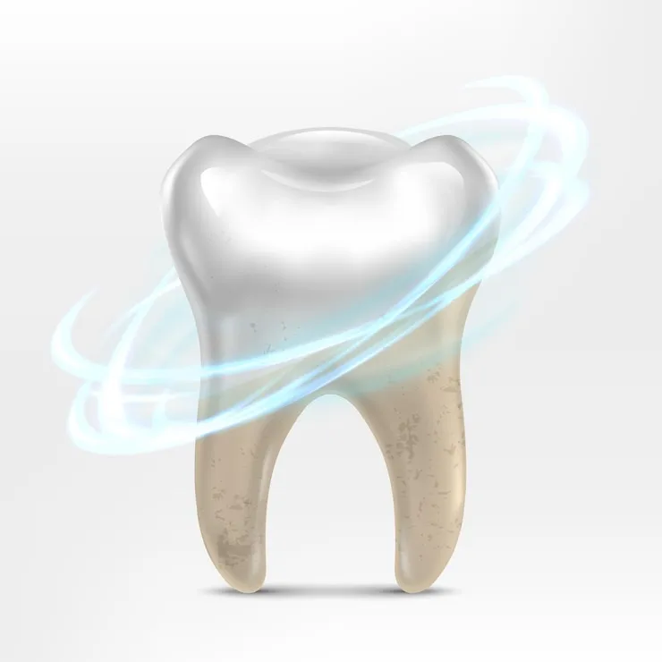 Dent : Tout Ce Que Vous Devez Savoir Pour un Sourire Éclatant