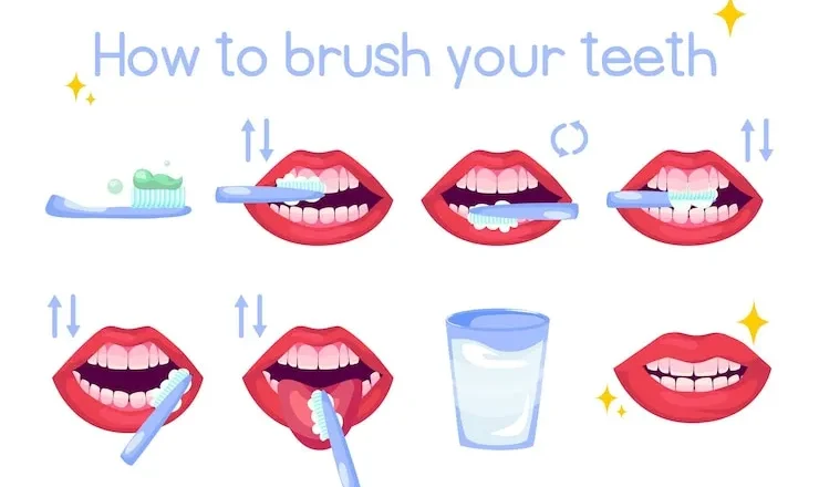 Soins Bucco-Dentaires : Le Guide Ultime pour une Bouche Saine