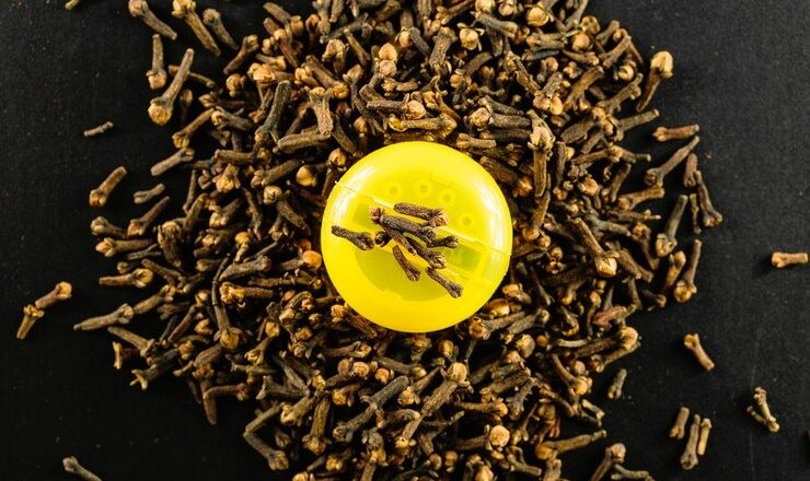 Clou de girofle dent : Le remède naturel pour soulager vos douleurs dentaires